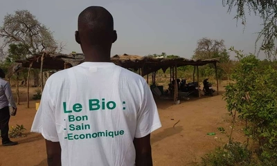 Person from behind with a t-shirt that has written on it: Le Bio: bon, sain, économique